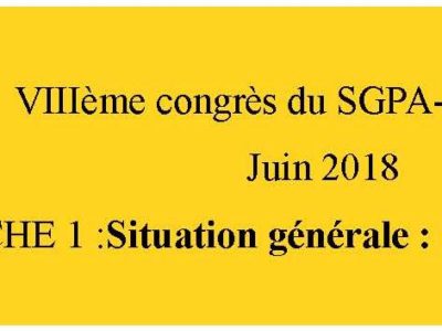 document d’orientation sgpa-cgt: fiche 1 La situation générale