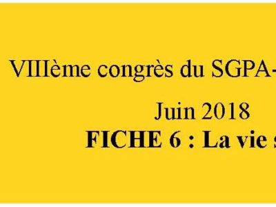 document d’orientation sgpa-cgt: fiche 6 La vie syndicale