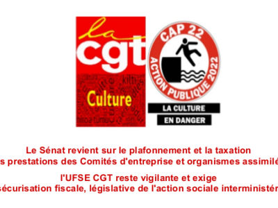 Le Sénat revient sur le plafonnement et la taxation des prestations des Comités d’entreprise et organismes assimilés ; l’UFSE CGT reste vigilante et exige une sécurisation fiscale, législative de l’action sociale interministérielle!