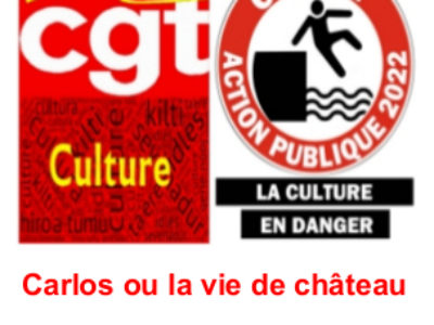 Carlos ou la vie de château : Si Versailles m’était compté