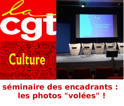 séminaire encadrement supérieur ministère de la culture