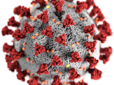 Coronavirus : la prévention du risque , un enjeu prioritaire, une responsabilité de l’employeur