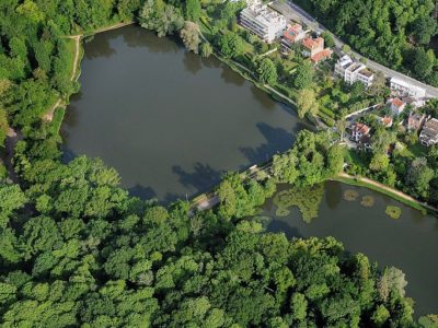 Les étangs de Corot :  un patrimoine végétal en danger