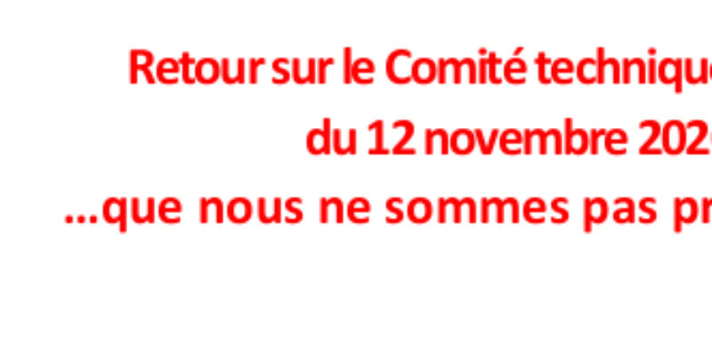 Retour sur le Comité technique ministériel  du 12 novembre 2020…