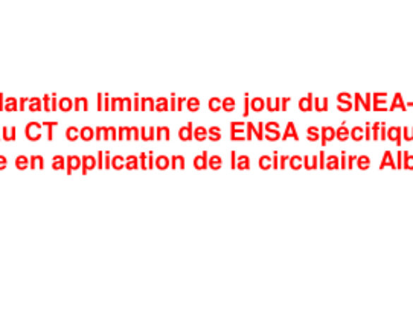 Déclaration liminaire du SNEA-CGT au CT commun des ENSA spécifique « mise en application de la circulaire Albanel » du 12 avril 2021