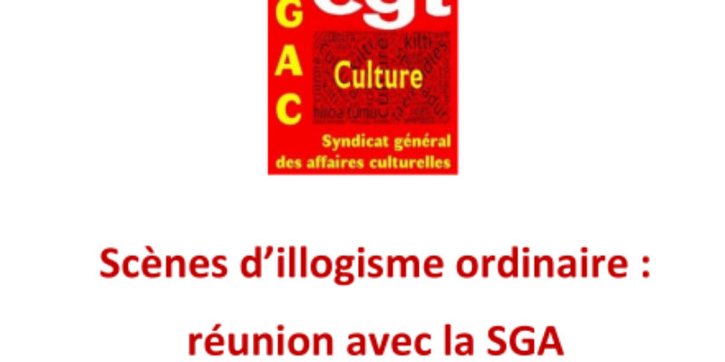 Scènes d’illogisme ordinaire : réunion avec la SGA et la Dream team de la SDAEI