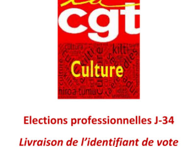 Élections professionnelles J-34 : Livraison de l’identifiant de vote  et vérification des listes électorales