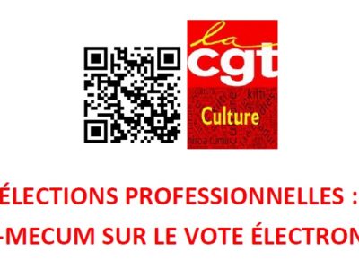 ÉLECTIONS PROFESSIONNELLES : VADE-MECUM SUR LE VOTE ÉLECTRONIQUE